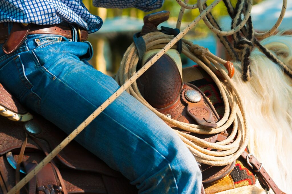 Cowboy horse