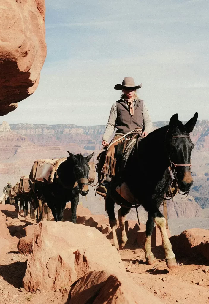 Western mountains Horses Longhorn belts